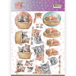 Amy Design - Cats World -...