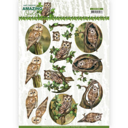 Amy Design - Amazing Owls -...