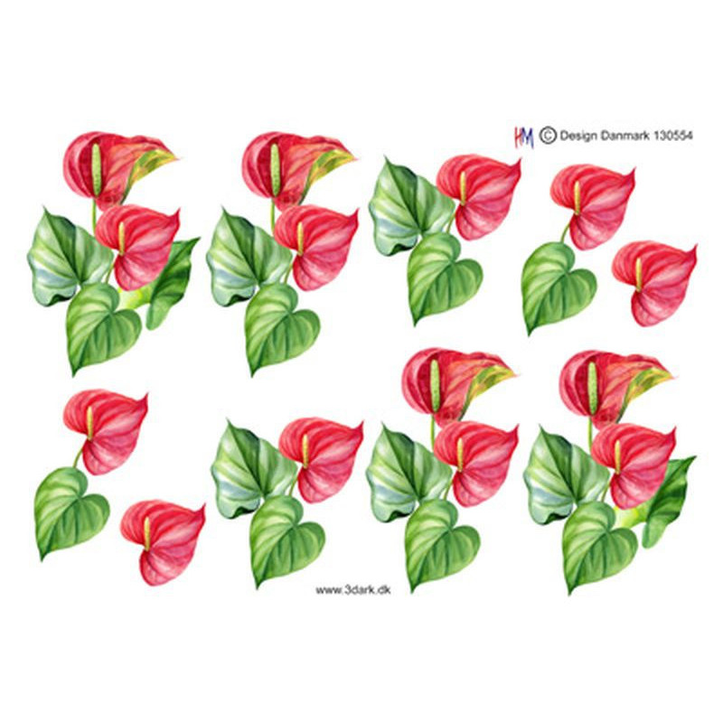 HM Design - 130554