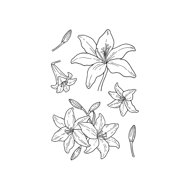 Jane's Doodles - Clear Stamps - Lily