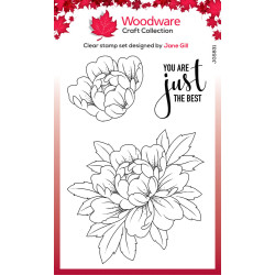 Woodware - Clear Stamp - Just The Best - JGS831