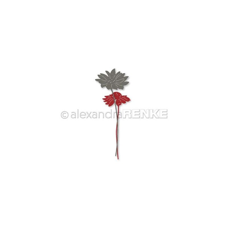 Alexandra Renke - Dies - Daisies Pair