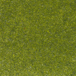 WOW! - Embossing Powder - Earth Tones - Earth Tone Olive - Regular