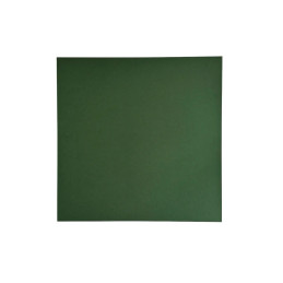 Paper Favourites - Smooth Cardstock 30.5x30.5 cm - Forest Green - PFSS521