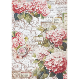 Ciao Bella - Papirpakke A4 - Deluxe Paper Gold - Timeless Moments