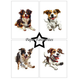 Paper Favourites - Papirpakke A6 - Farmdogs - PFA567