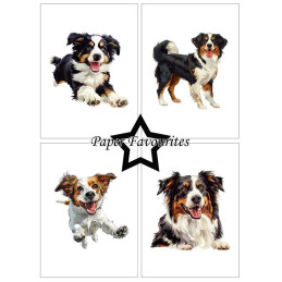 Paper Favourites - Papirpakke A6 - Farmdogs - PFA567