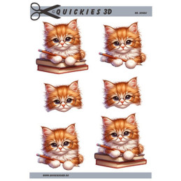 Quickies 3D - 204561