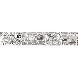 Arden Creative Studio - PET Tape - Hidden Creek - Journal Kiss-Cut