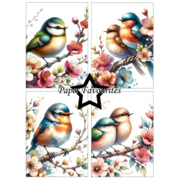 Paper Favourites - Papirpakke A6 - Birds And Flowers - PFA569