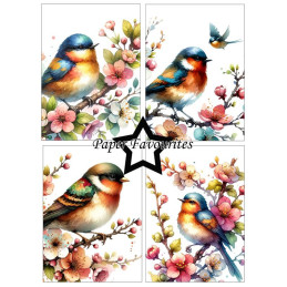 Paper Favourites - Papirpakke A6 - Birds And Flowers - PFA569