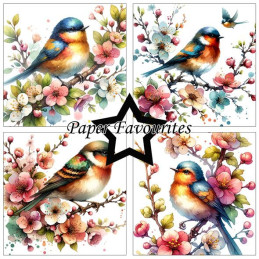 Paper Favourites - Papirpakke 15x15 - Birds And Flowers - PF528