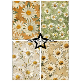 Paper Favourites - Papirpakke A5 - Vintage Daisies - PFA170