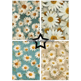 Paper Favourites - Papirpakke A5 - Vintage Daisies - PFA170