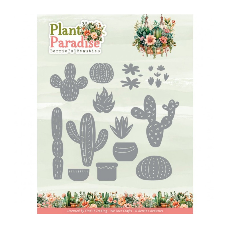 Berries Beauties - Plant Paradise - Cactus Paradise