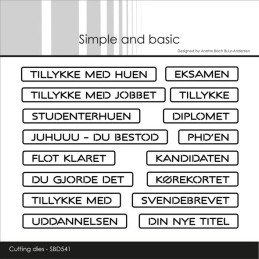 Simple And Basic - All-In-One Plate - Eksamen - SBD541
