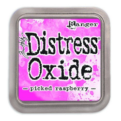 Ranger Distress Oxide - Tim...