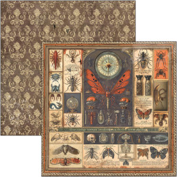 Ciao Bella - Papirpakke 12x12 - Cabinet Of Curiosities