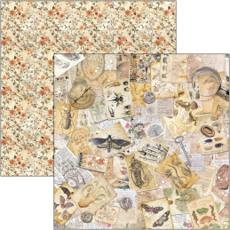 Ciao Bella - Papirpakke 8x8 - Cabinet Of Curiosities