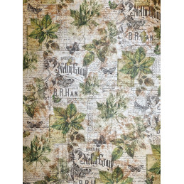 Ciao Bella - Papirpakke A4 - Deluxe Paper Pearl Copper - Cabinet Of Curiosities