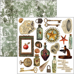 Ciao Bella - Papirpakke 6x6 - Fussy Cut - Cabinet Of Curiosities