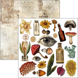 Ciao Bella - Papirpakke 6x6 - Fussy Cut - Cabinet Of Curiosities