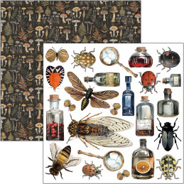 Ciao Bella - Papirpakke 6x6 - Fussy Cut - Cabinet Of Curiosities