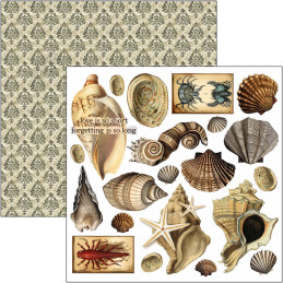 Ciao Bella - Papirpakke 6x6 - Fussy Cut - Cabinet Of Curiosities