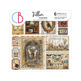 Ciao Bella - Vellumpakke 6x6 - Fussy Cut - Cabinet Of Curiosities