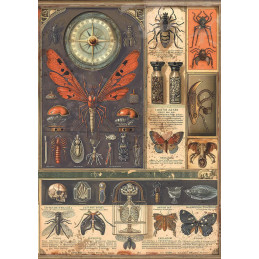 Ciao Bella - Rice Paper Mixed A5 - Cabinet Of Curiosities