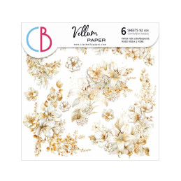 Ciao Bella - Vellumpakke 6x6 - Fussy Cut - Blessing Day
