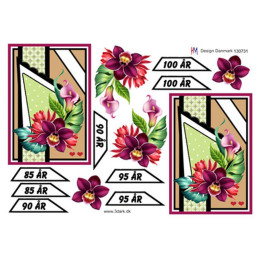 HM Design - 130731