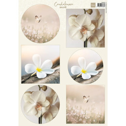 Marianne Design - Condoleance - Orchid - VK9624