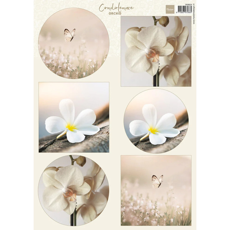 Marianne Design - Condoleance - Orchid - VK9624