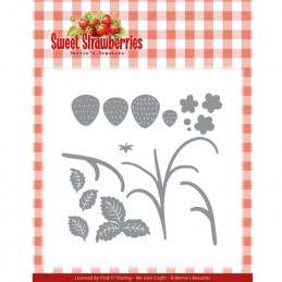 Berries Beauties - Sweet Strawberries - Strawberry Plant
