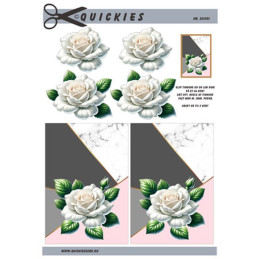 Quickies - 201591