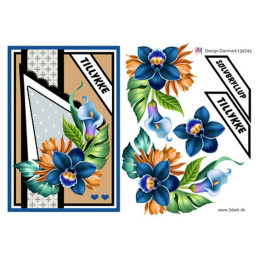 HM Design - 130743