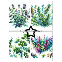 Paper Favourites - Papirpakke A6 - Herbs - PFA578
