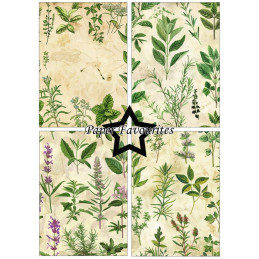 Paper Favourites - Papirpakke A5 - Kitchen Herbs - PFA178