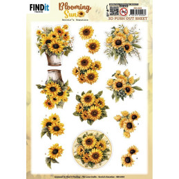Pushout - Berries Beauties - Blooming Sun - Golden Glow - SB11033
