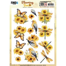 Pushout - Berries Beauties - Blooming Sun - Golden Meadow - SB11035