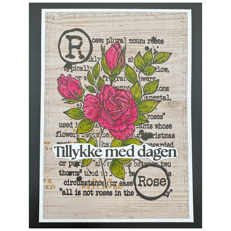 Kort 1906