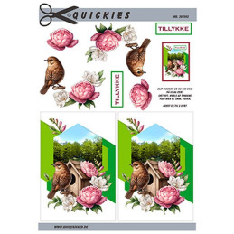 Quickies - 201592