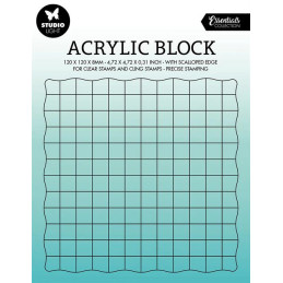 Studio Light - Acrylic With Grid - SL-ES-ASB04