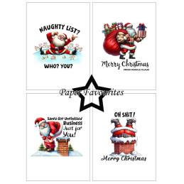 Paper Favourites - Papirpakke A6 - Sarcastic Santa - PFA586