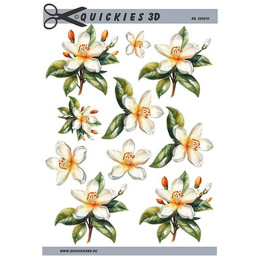 Quickies 3D - 204570
