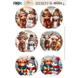 Pushout - Berries Beauties - Scenery - Highland Holidays Round - BBSC10108