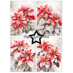 Paper Favourites - Papirpakke A6 - Poinsettia - PFA595