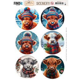 Pushout - Berries Beauties - Scenery - Highland Round - BBSC10112