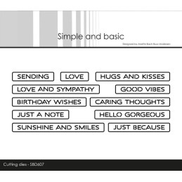 Simple And Basic - All-In-One Plate - Good Vibes - SBD607